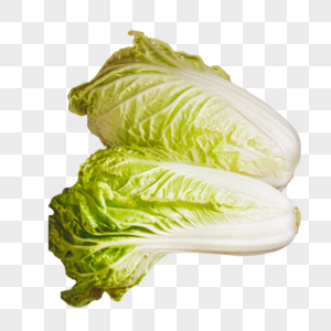 蔬菜大白菜图片