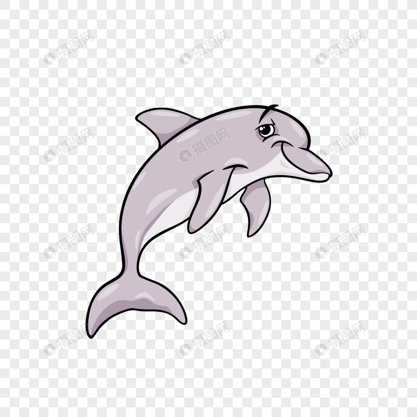 灰色海豚图片