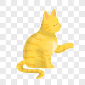 黄色小猫图片