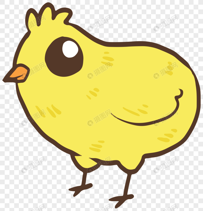 小鸡