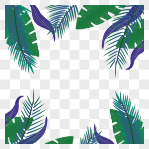夏日热带植物树叶边框图片