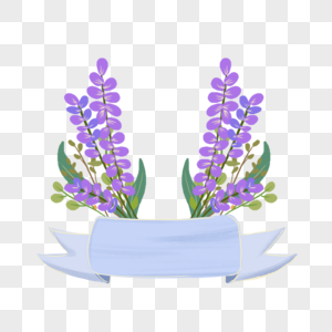 紫色薰衣草花朵装饰图片