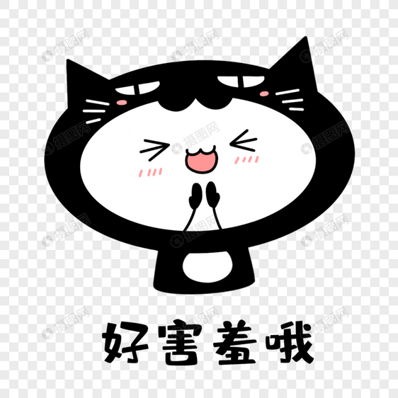 猫猫害羞表情图片