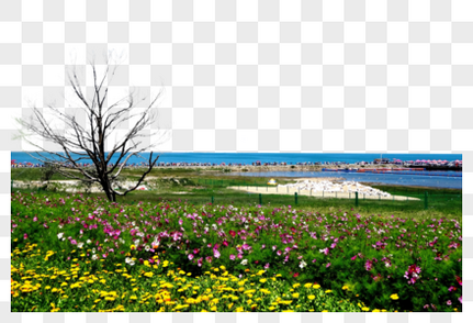 大西北青海湖风光著名风景高清图片素材