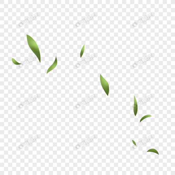 绿色叶子图片