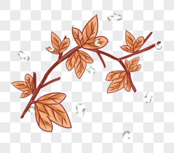 水滴与叶子插画PNG图片
