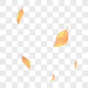 黄色枯叶秋天叶片高清图片