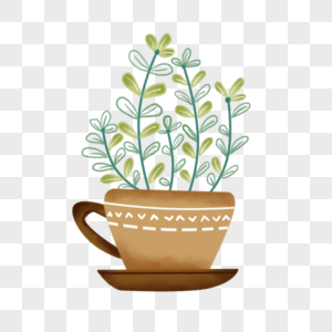 茶杯盆栽图片