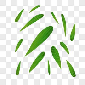 翠绿竹叶漂浮素材图片