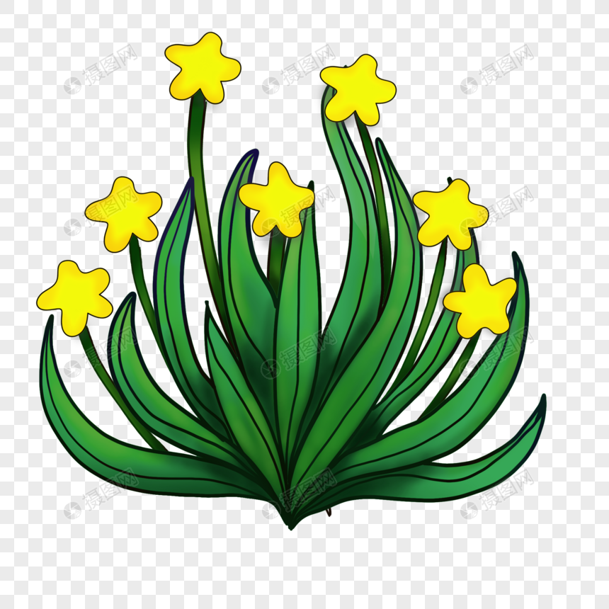 简笔画星星草