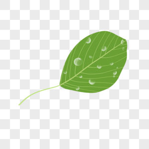 绿色植物嫩绿色叶片手绘水珠图片