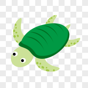 龟海龟龟形高清图片