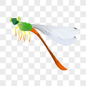 蜻蜓彩色翅膀高清图片