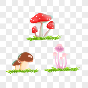 一组蘑菇图片