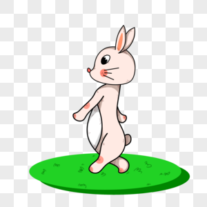 兔兔图片