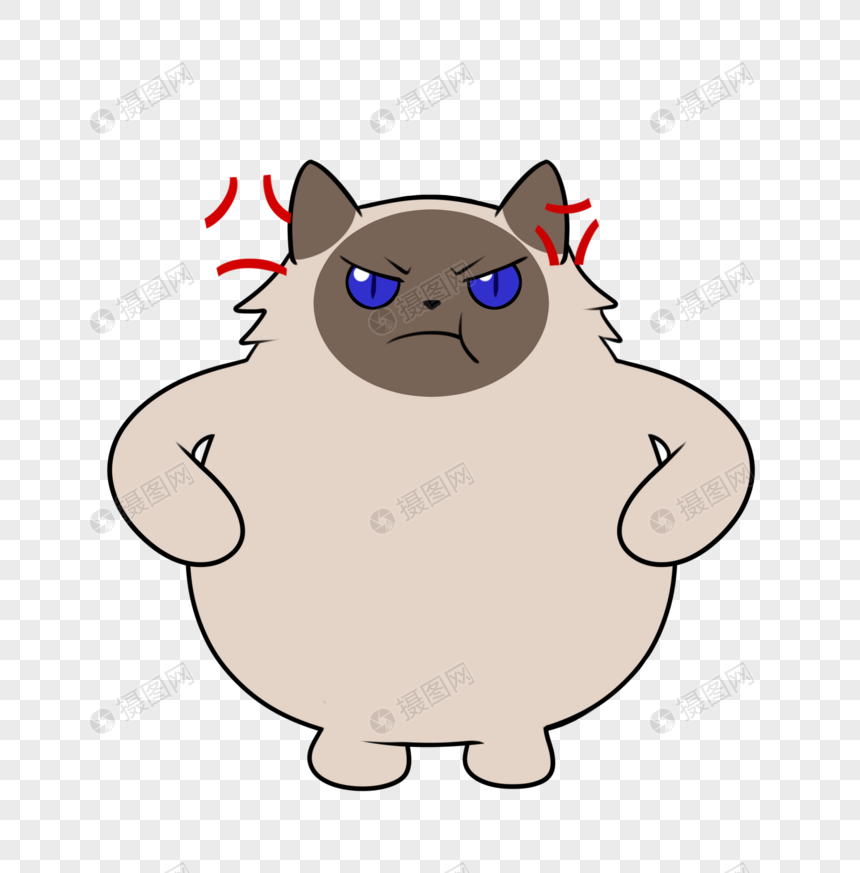 叉腰生气发火愤怒猫