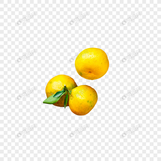 柑橘采摘图片