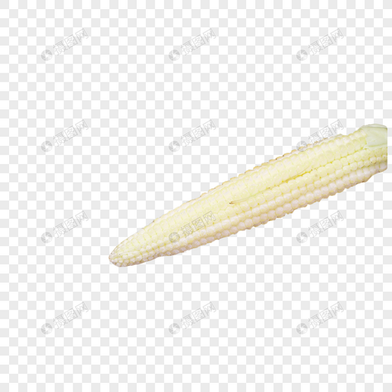 新鲜玉米笋图片