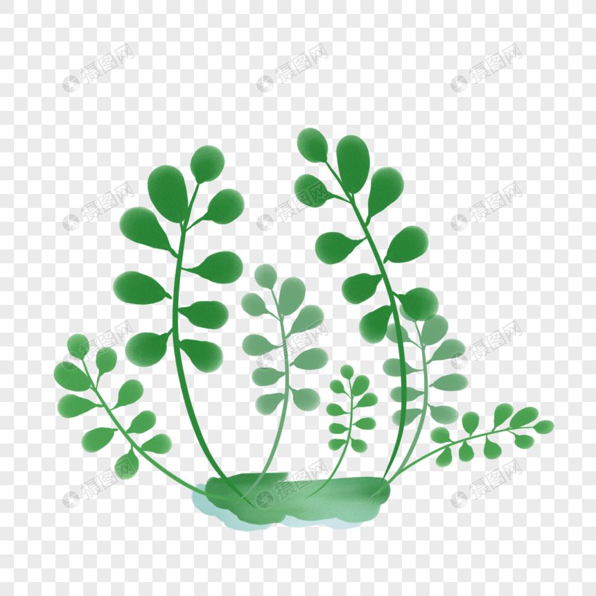 绿色手绘植物叶子图片