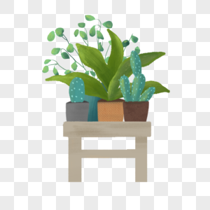桌子上的植物图片