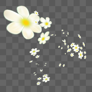 花瓣飘散的花瓣高清图片