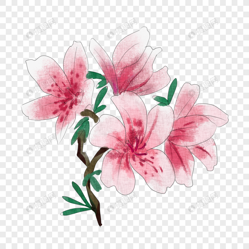 杜鹃花元素素材下载-正版素材401484025-摄图网