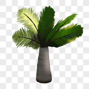 椰子树绿色夏天植物图片