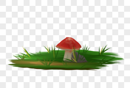 草地与蘑菇图片