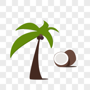 椰子树和椰子图片