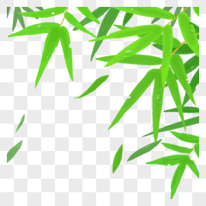 竹叶手绘叶子高清图片素材