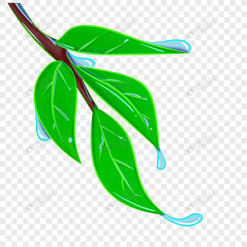 树叶上挂水珠手绘