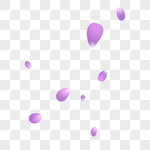 淡紫色花瓣图片