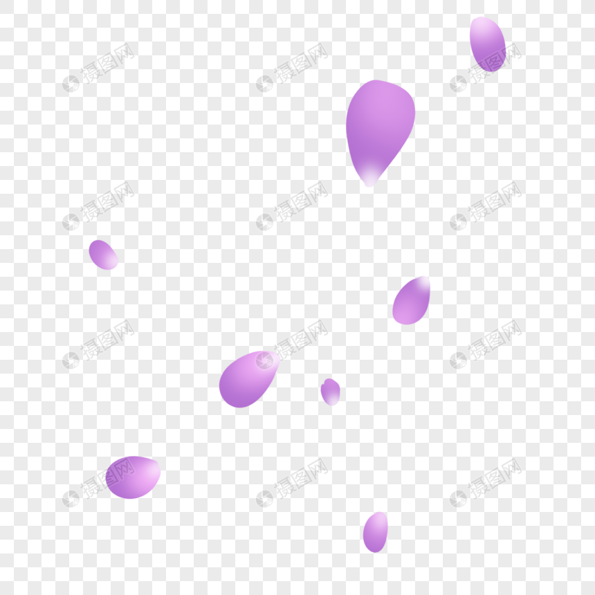 淡紫色花瓣图片