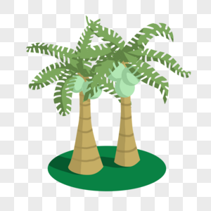 夏日大暑椰子树夏季高清图片素材