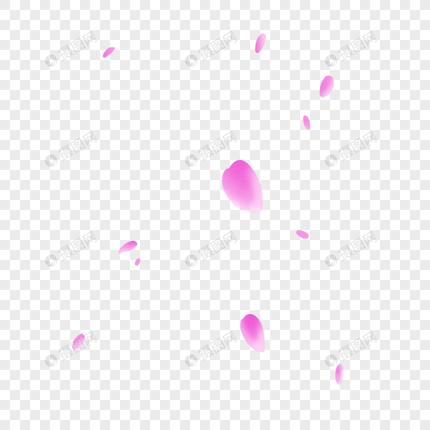 淡紫色半透明花瓣图片