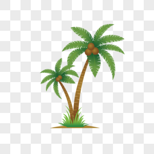 椰子树沙滩椰子树高清图片