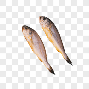 海鲜鱼图片