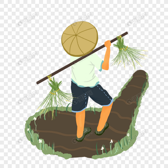 农民种水稻图片
