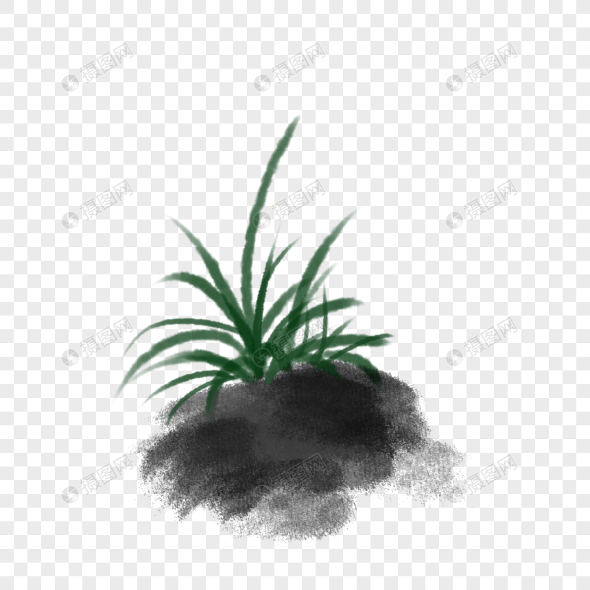 水墨兰花草插画