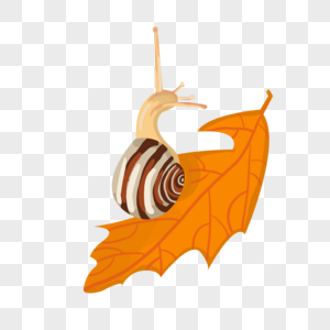 秋天的蜗牛图片