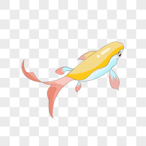 彩色鱼海洋生物彩色鱼高清图片
