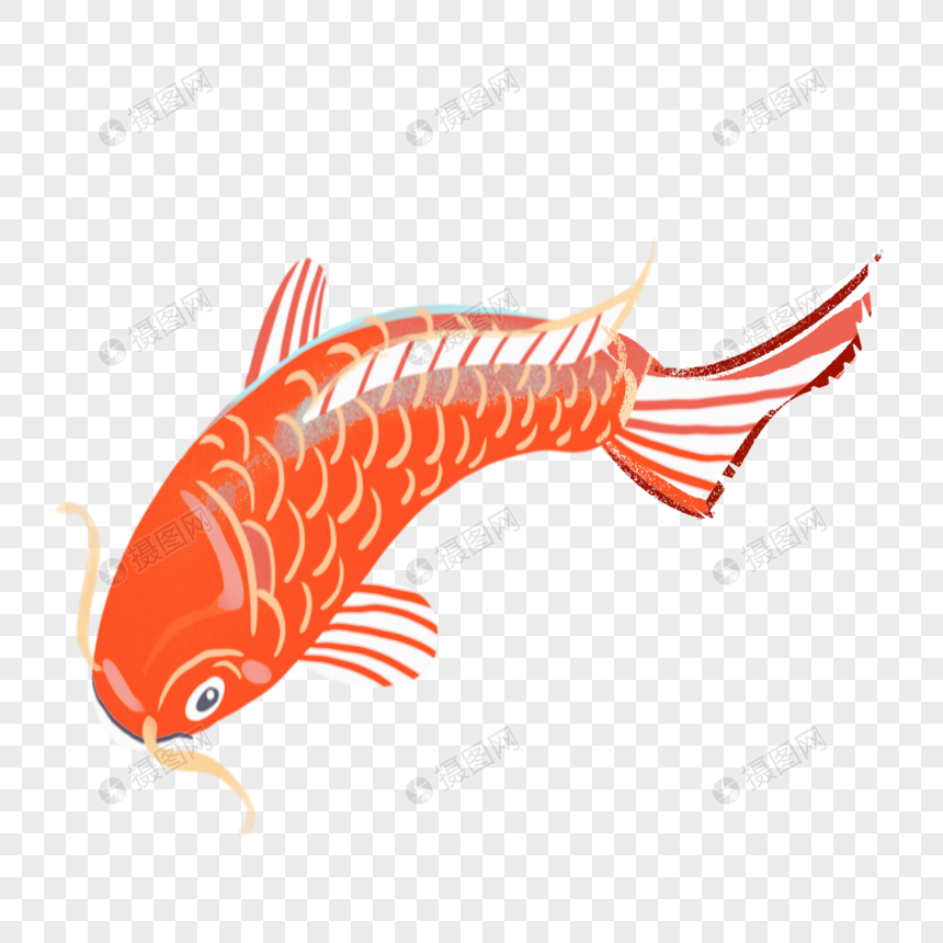 手绘卡通锦鲤