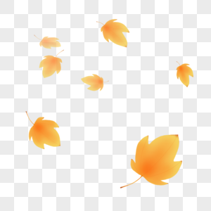 枫叶秋叶扫落叶图片素材