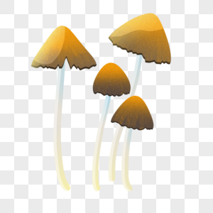 咖啡色小蘑菇图片