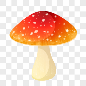 蘑菇秋天的红色高清图片