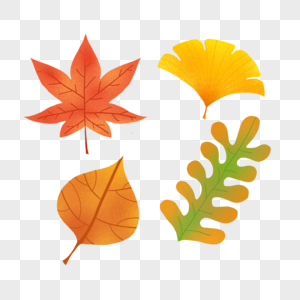 秋天的四种落叶图片