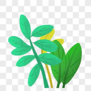 绿色树叶植物元素图片