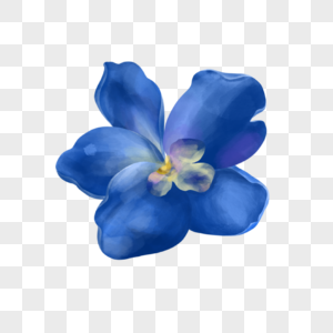 艳丽的蓝色花朵图片