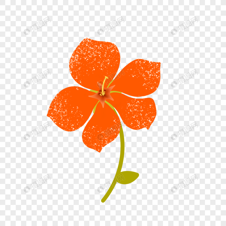 橘红色五瓣花朵
