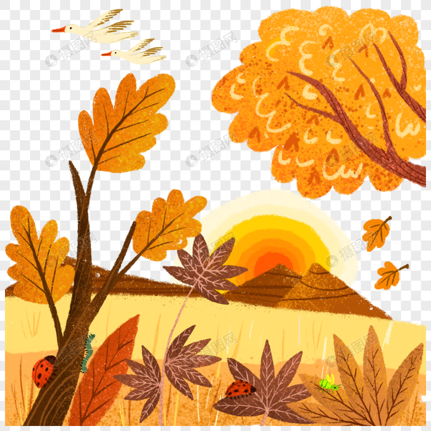 秋天的景色秋天枯叶落叶飞雁黄昏昆虫插金黄色丰收画手绘